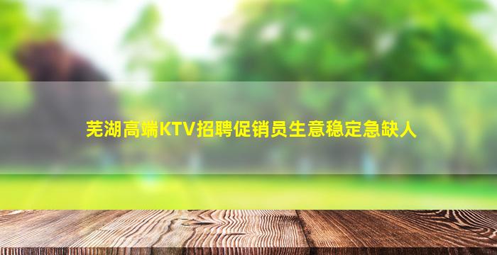 芜湖高端KTV招聘促销员生意稳定急缺人